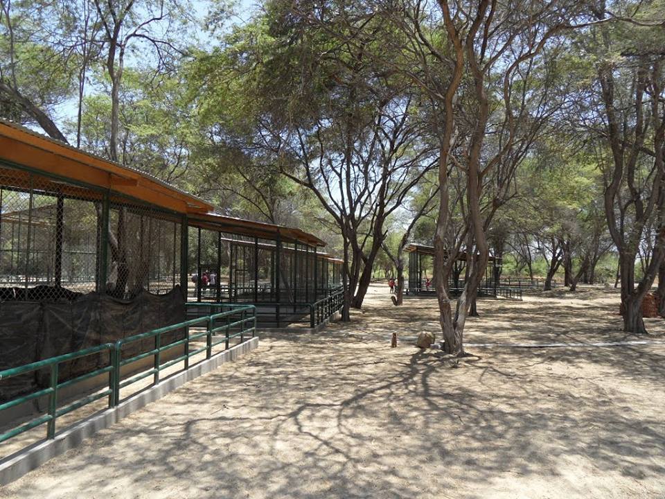 Municipalidad de Piura impulsa proyecto en parque Kurt Beer FOTO PIURA EMPRESARIAL