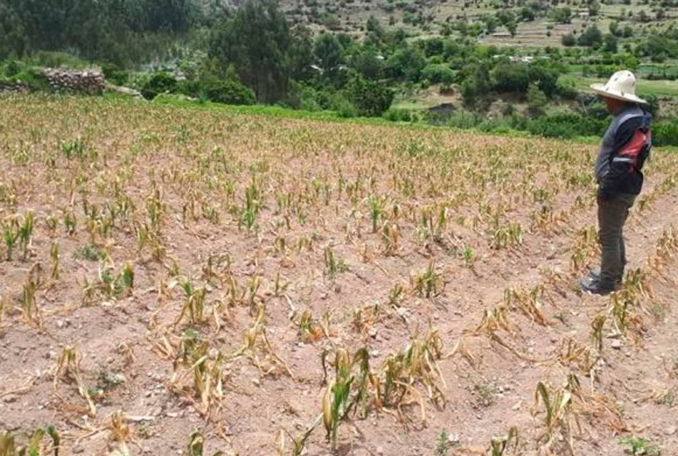 WhatsApp Image 2025-10-30 at 13.14.40